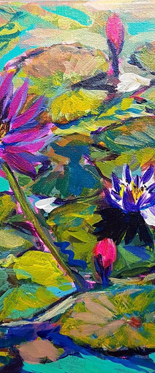 Water lilies by Silvia Flores Vitiello