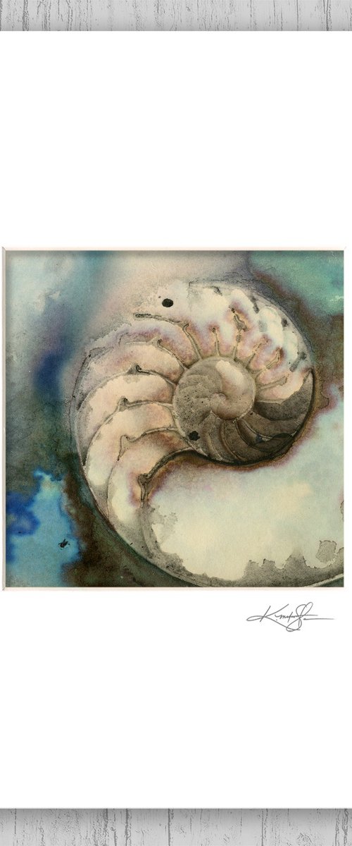 Nautilus Shell 504 by Kathy Morton Stanion