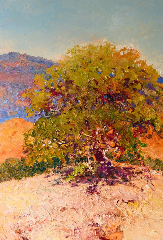 Lonely Tree on the HIlls.