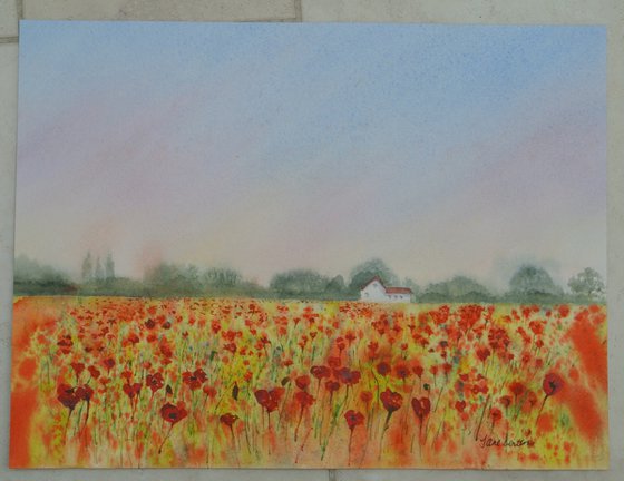 Poppy field at Sunrise - Original Watercolour