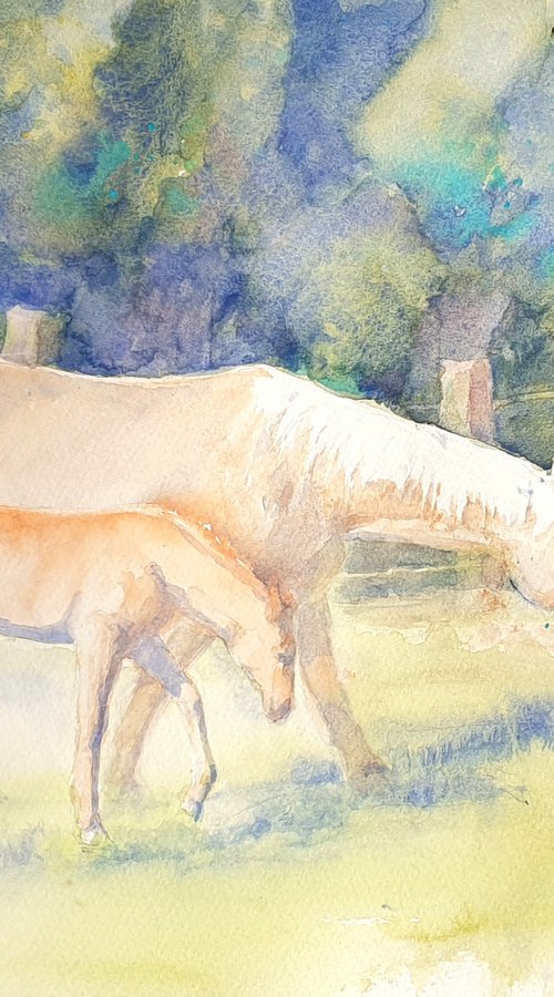 IN THE PASTURE 2020.056  original watercolour 40X30CM by Beata van Wijngaarden