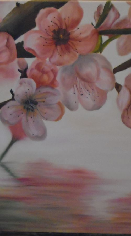 Sakura by Timea  Valsami