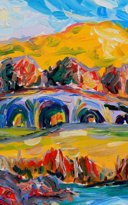 Exploring A Lost Corner Of The Garden by Alison Stevenson