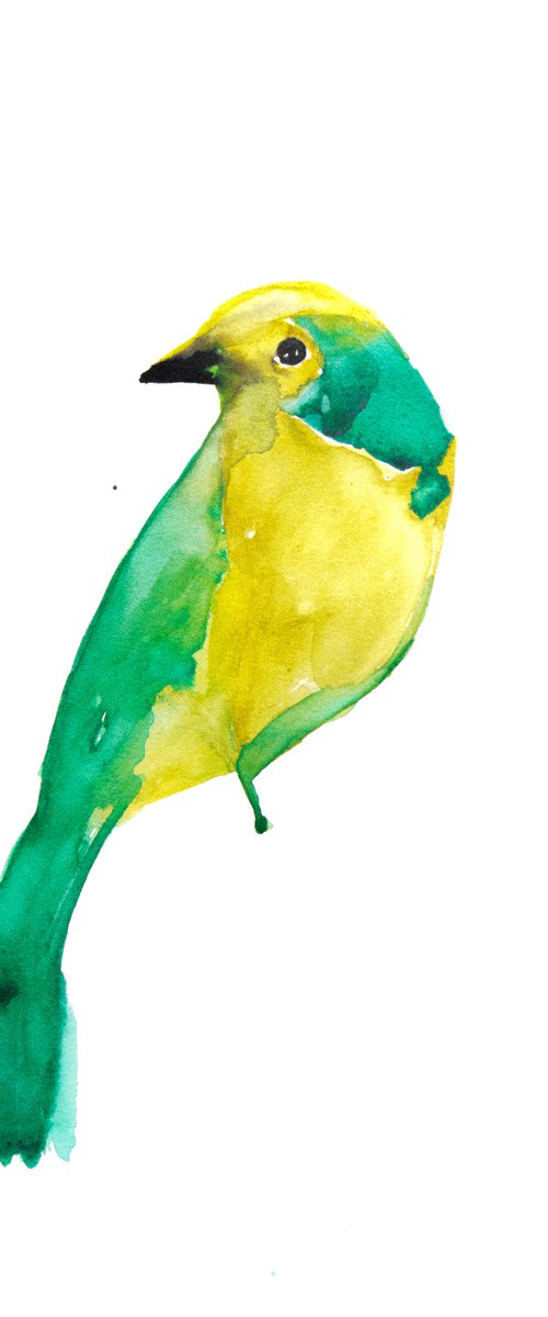 Bird by Nadia Moniatis