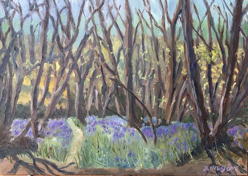 Bluebells in the woods. A delightful spring scene captured in oils. by Julian Lovegrove Art