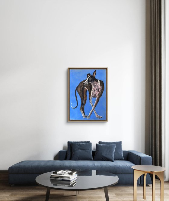 Dogs Portrait Soft Pastel Galgo español