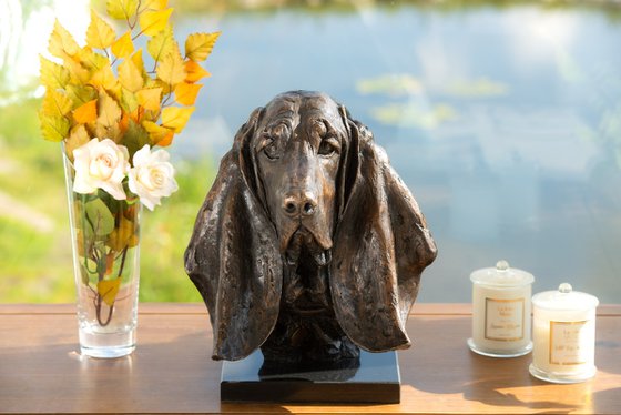 Basset Portrait Bronze