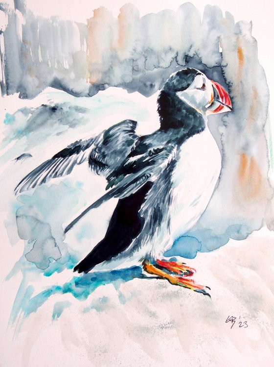 Puffin collection