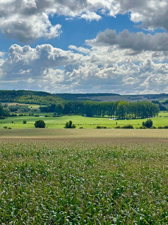 Normandy in Summertime