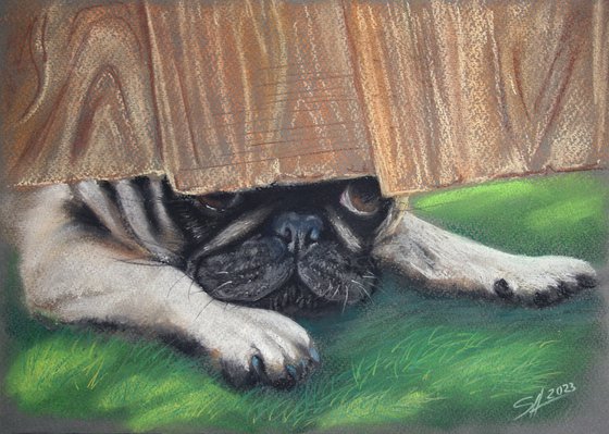 Pug / ORIGINAL SOFT PASTEL PAINTING