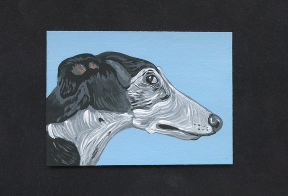 Greyhound Whippet