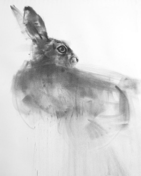 Hare No 2