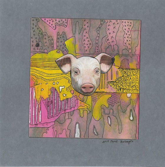 Pig's portrait