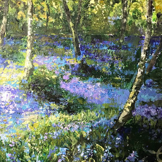 Bluebells