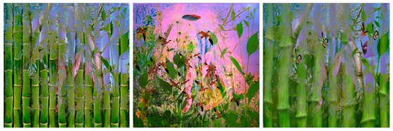 Triptych Nature opus 284