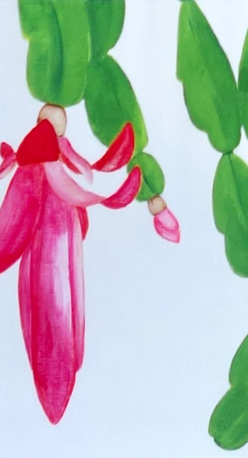 Christmas Cactus by Susan Porter