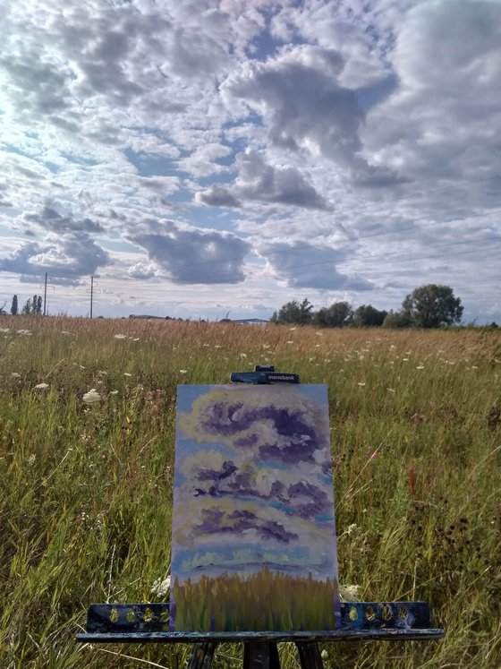 The sky with clouds. Pleinair painting