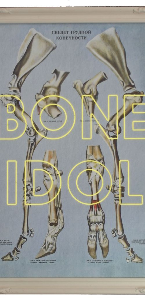 Bone Idol by Dangerous Minds Artists