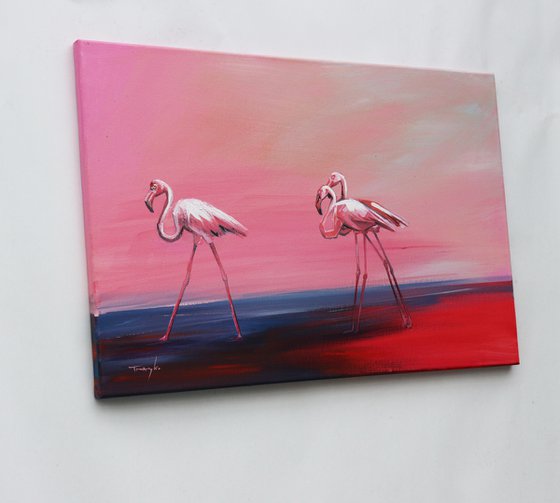 Flamingos. Flamingoes. Fire birds. Morning walking. Landscape. Birds in the Water. Country. Autumn.