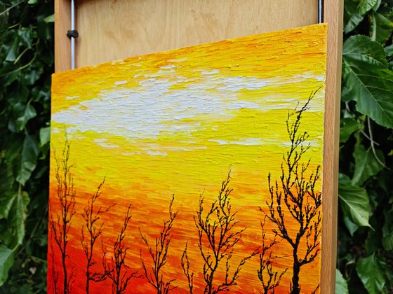 Sunny trees