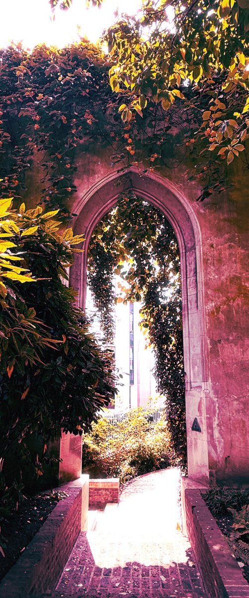 Through Time II by Tatiana Zappa