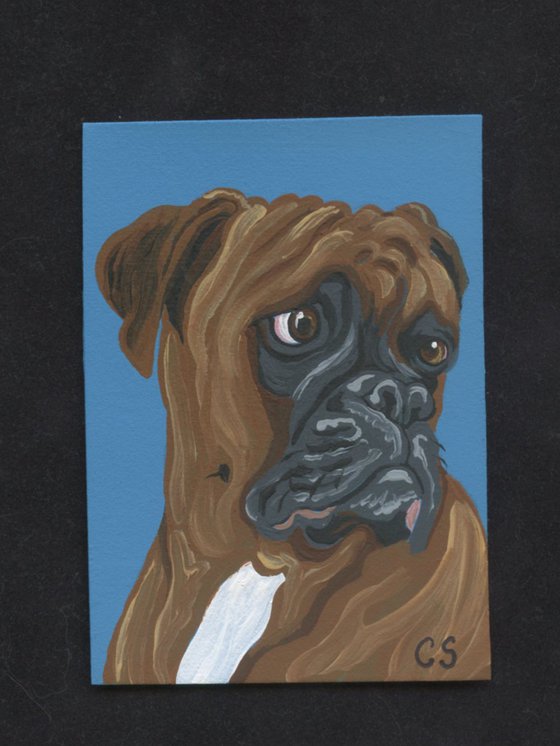 ACEO ATC Original Miniature Painting Red Boxer Pet Dog Art-Carla Smale