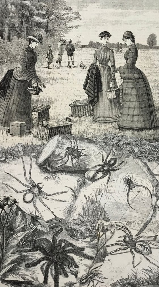 Spider Picnic