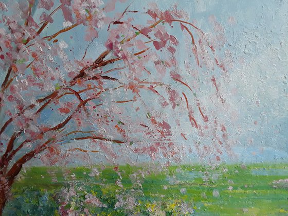 The Cherry Tree