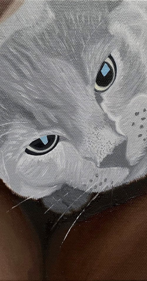 Cat On The Couch by Jill Ann Harper
