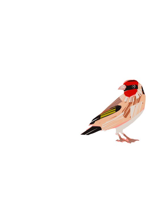 A GOLDFINCH BIRD