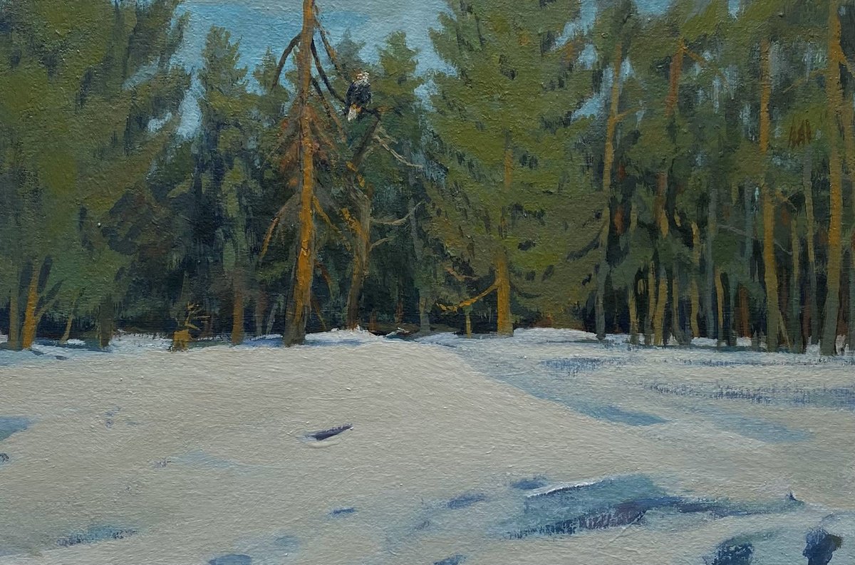 Impressionistic Landscape Oil Painting By Bohdan Vykhrenko, 12 X 8, Old Forest, Original Artwork