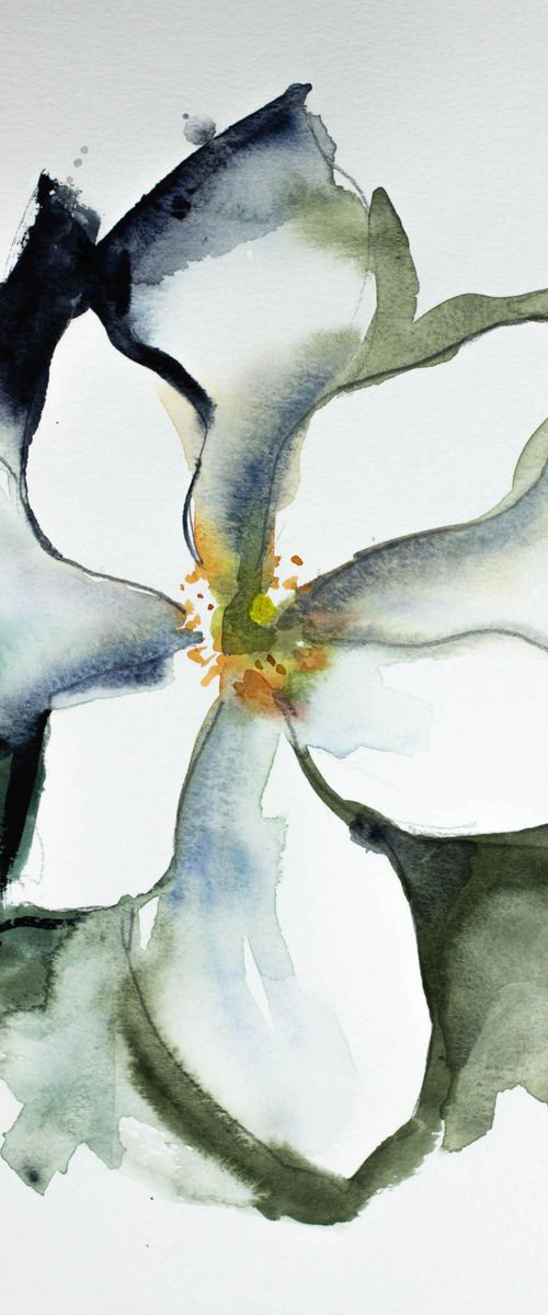 Bloodroot No. 2 by Elizabeth Becker