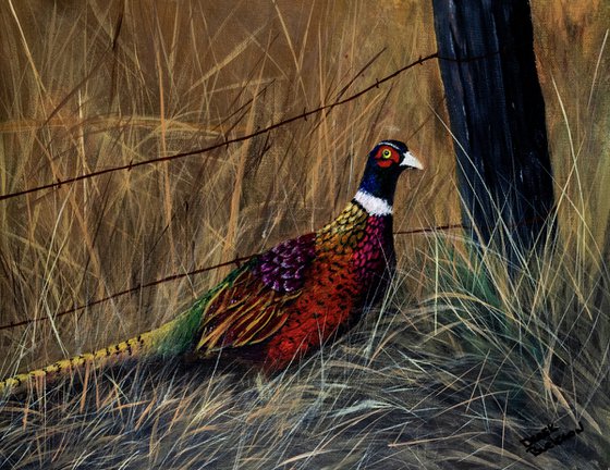 Fall Pheasant