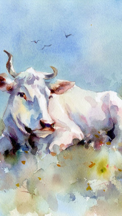 White cow by Yulia Evsyukova