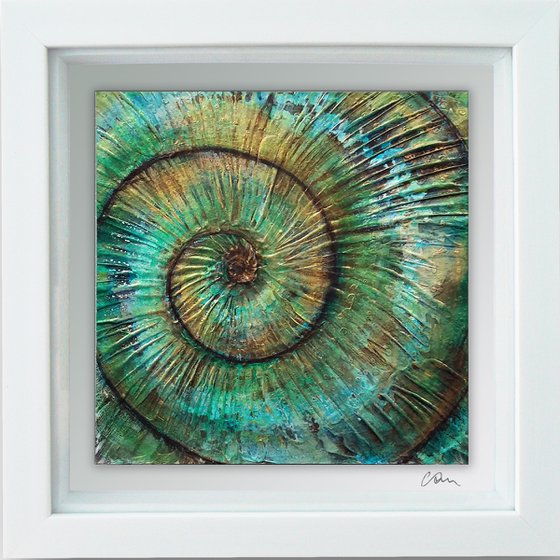 Ammonite