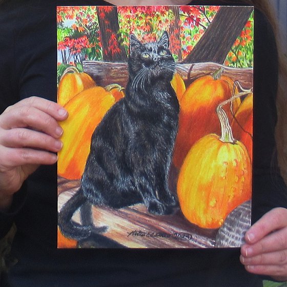 Binx's Autumn