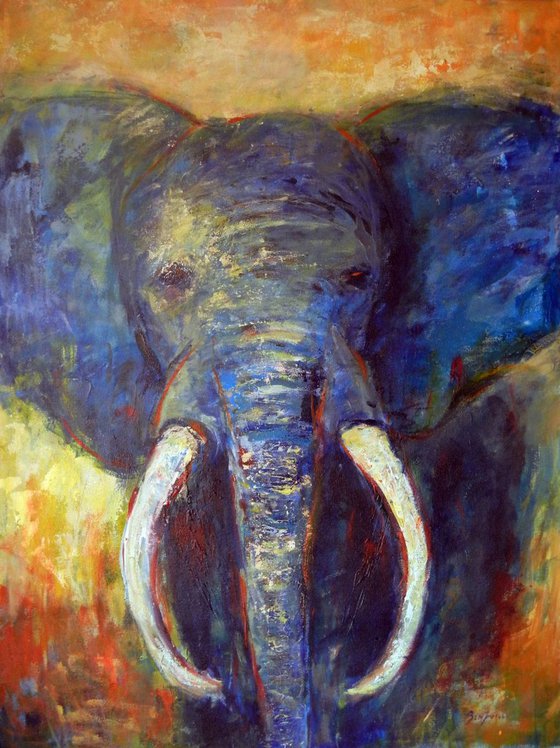 Elephant 48x36