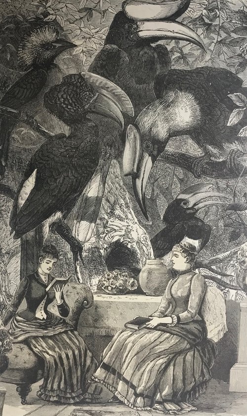 Reading with the hornbills by Tudor Evans