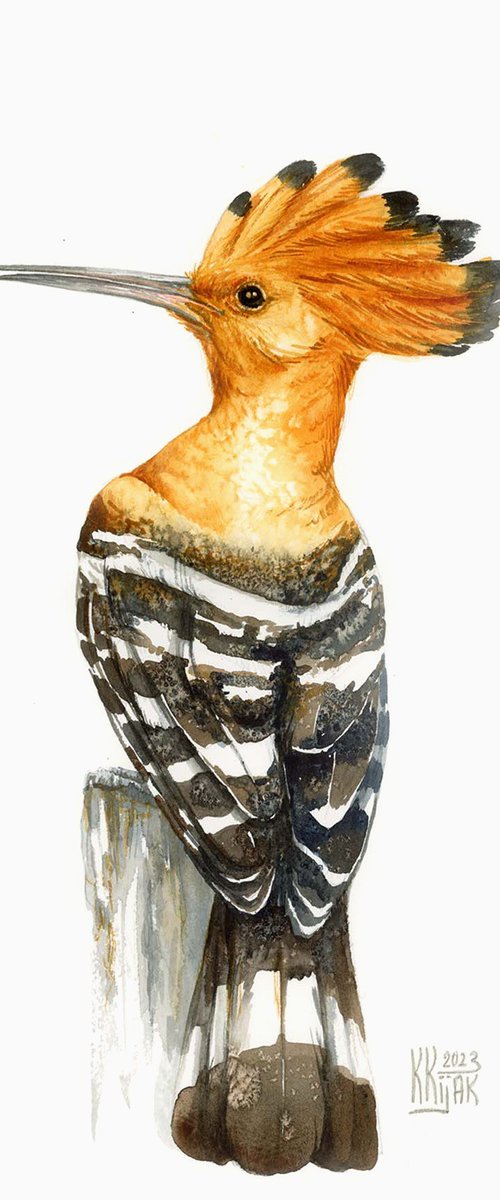 Crest of Pride: A Portrait of the Hoopoe by Karolina Kijak