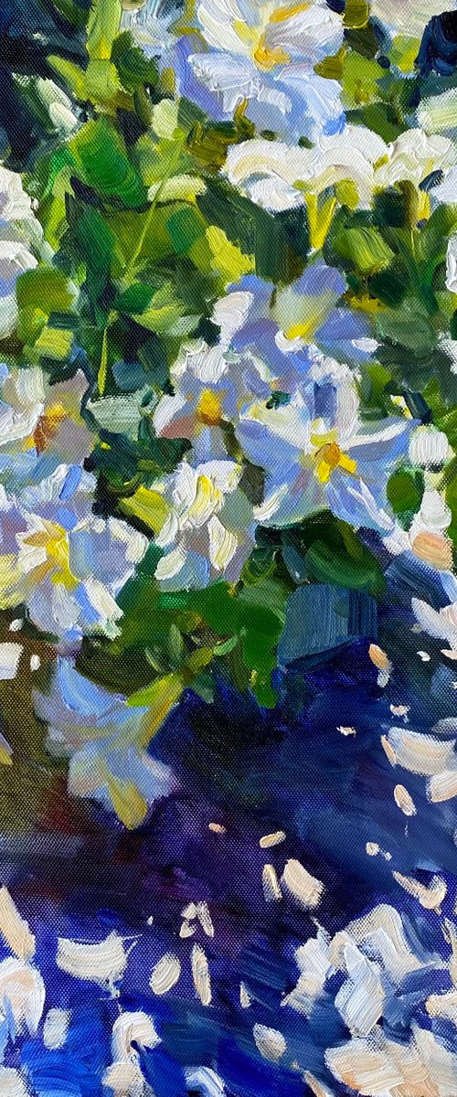 Sunny petunias by Nataliia Nosyk