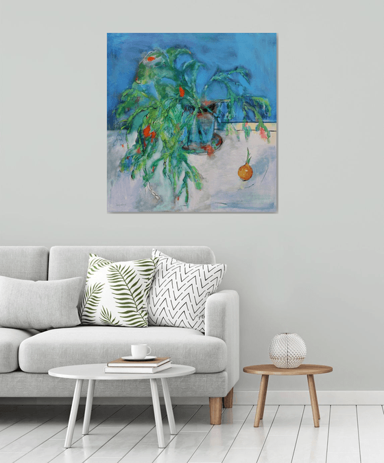 Schlumbergera. Christmas Cactus