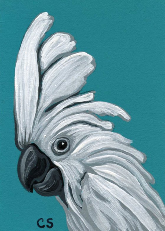 ACEO ATC Original Miniature Painting Umbrella Cockatoo Parrot Pet Bird Art-Carla Smale