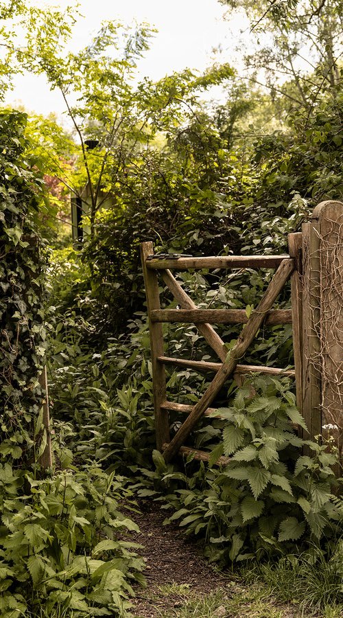 The End of Love Lane by Adam Regan