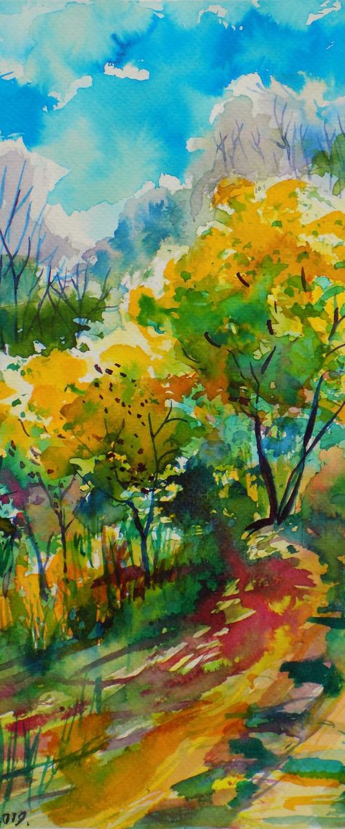 A path on the hill by Maja Grecic