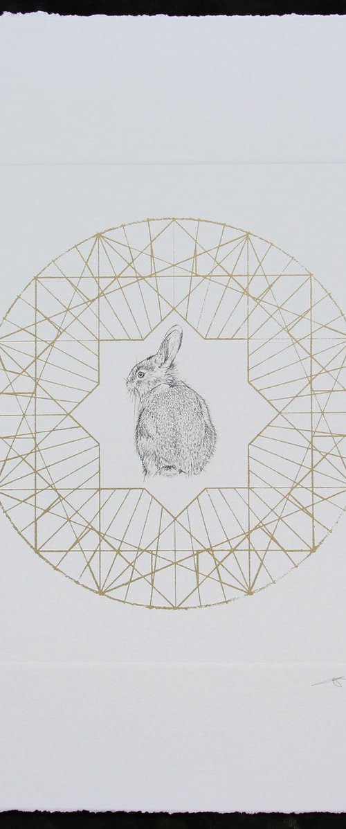 BABY RABBIT by JESSICA ALBARN