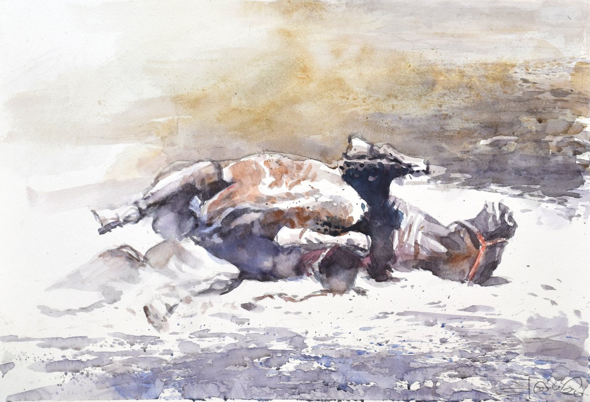 Expressive Animal Watercolour By Goran Zigolic Watercolors, 20 X 14, Rolling In The Dust, Original Artwork