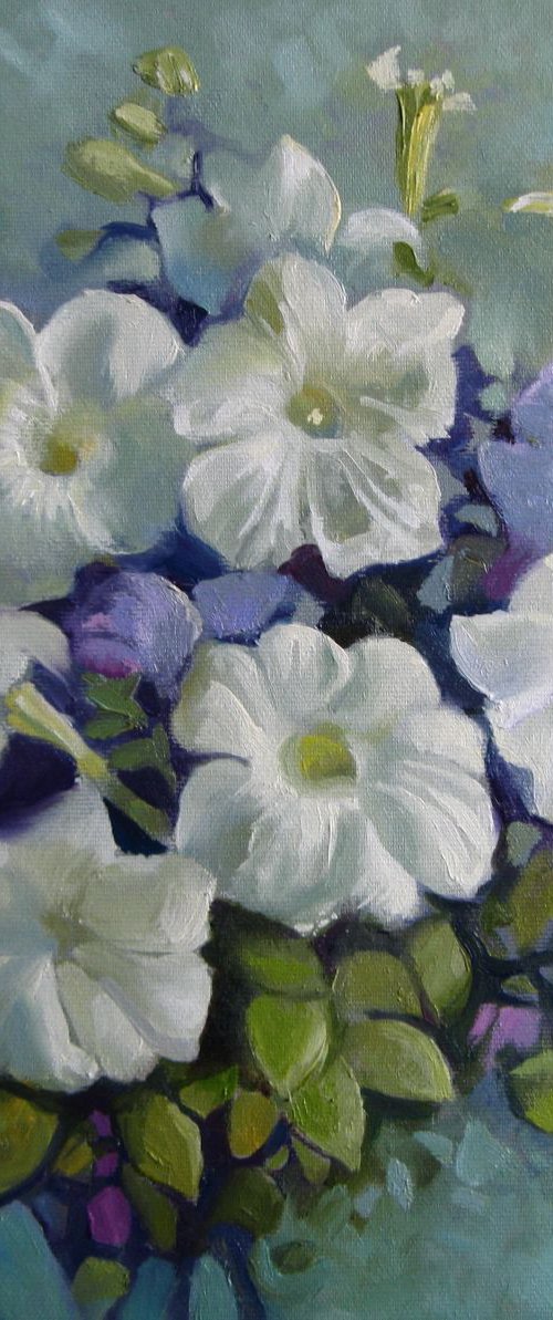 Petunias symphony by Elena Oleniuc
