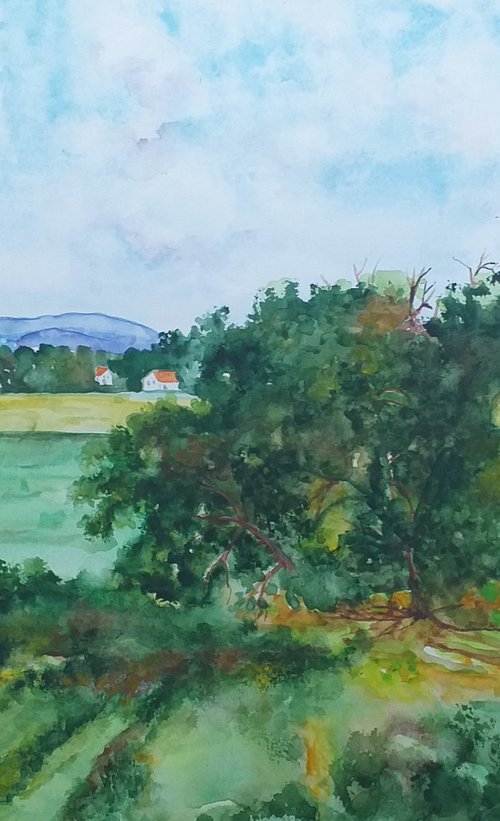 SUMMER LANDSCAPE by Zoran Mihajlović Muza