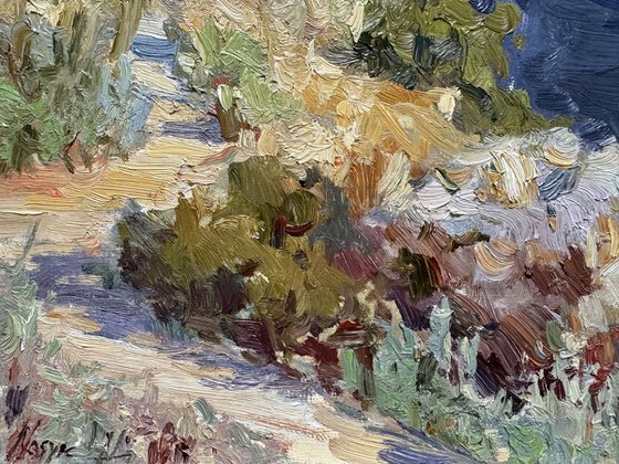 Riverbank Under Summer Sky