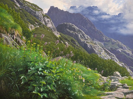 Summer in the mountains